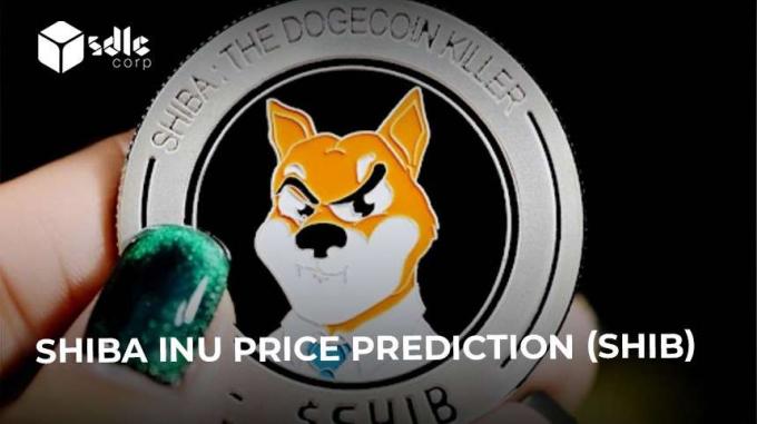 SHIB/INR: SHIBA INU Coin Price Today in INR Live | Convert SHIB