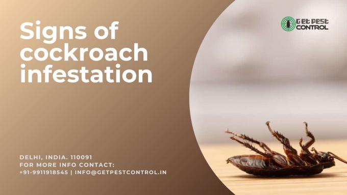 Signs of cockroach infestation