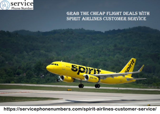 Cheap Flight Deals With Spirit Airlines Customer Service