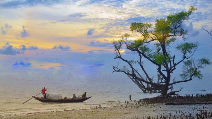Complete Sundarban 2 Night 3 Days Tour - Kolkata to Kolkata - Best Rate Guaranteed