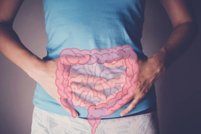 What Is The Best Supplements for Leaky Gut?