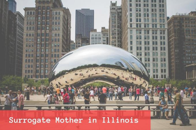 Surrogate Mother in Illinois
