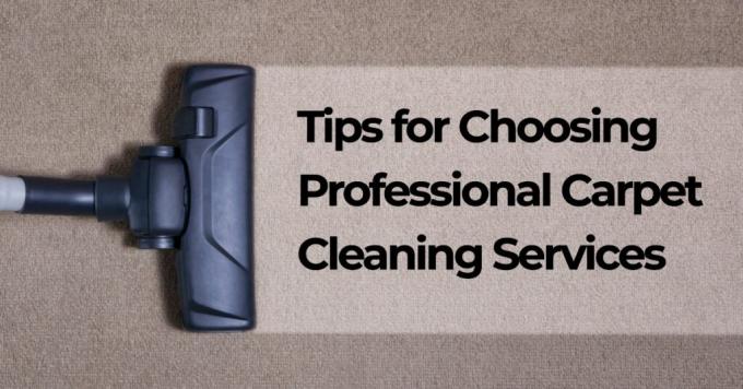 Tips for Choosing Professional Carpet Cleaning Services | Ozzy Master Cleaner