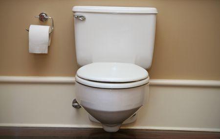 Basic Idea About Toilet Flapper