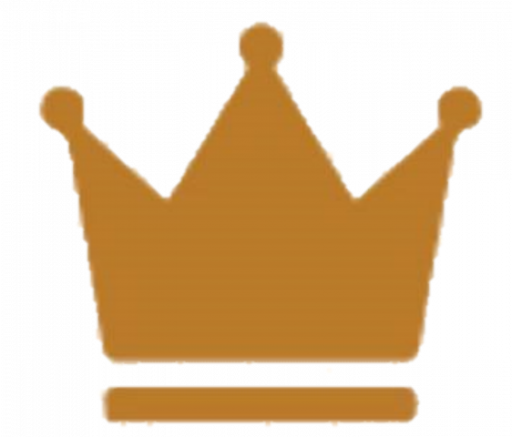 Speaker Package for the Reach More Clients Power Conference - The SEO Queen