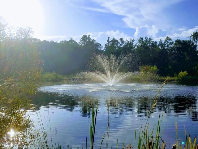 Pond Fountains | Floating Fountains | Discount Pumps