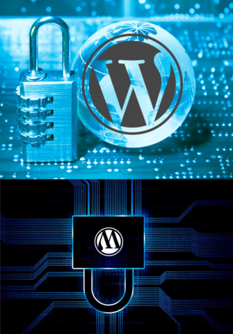 Hire Profesional WordPress Development Service - The Quantum Tech