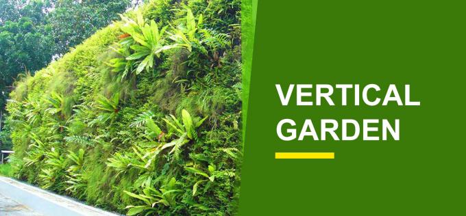 Vertical Garden Online India | Buy Vertical Garden Plants - Garden World