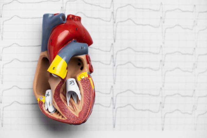 Comprehensive Guide to Caring for Your Aortic Valve