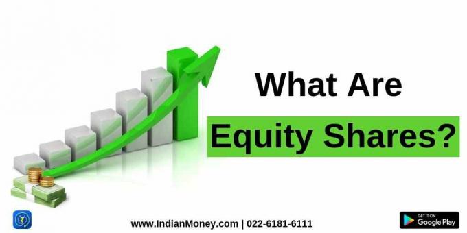 What Are Equity Shares? 