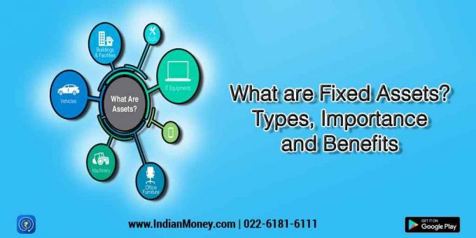 What are Fixed Assets