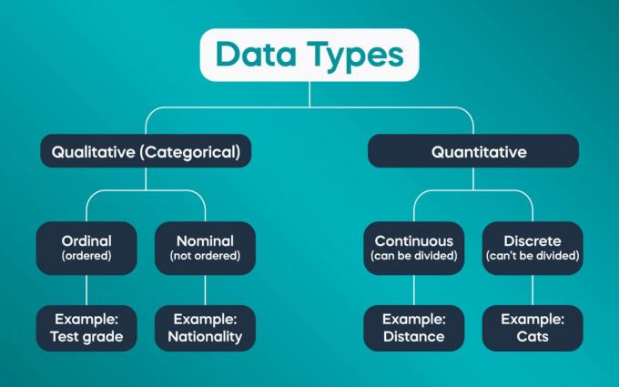 What Are The Types Of Data Used In Data Science?