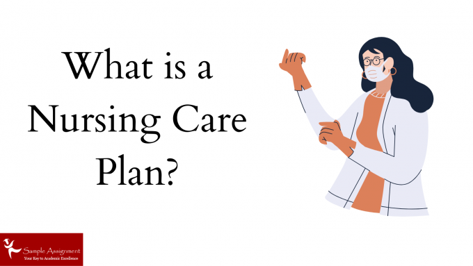 What is a Nursing Care Plan? How to Write It, Format, Examples