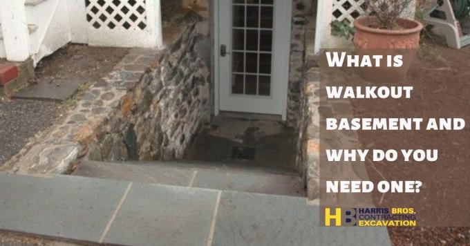  What is walkout basement and why do you need one? 