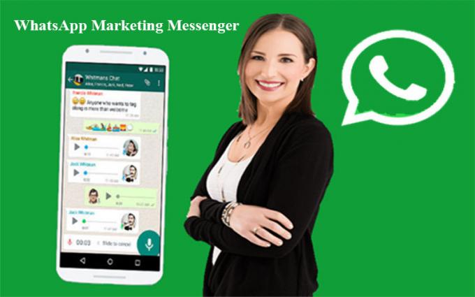 WhatsApp filter tools | WhatsApp marketing messenger software