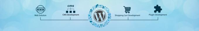 Custom Wordpress Development Services - Logicspice