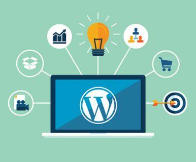 Wordpress Development Company Delhi, Custom Wordpress Website Development India