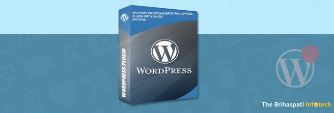 Wordpress Multisite Plugin - Woocommerce multisite