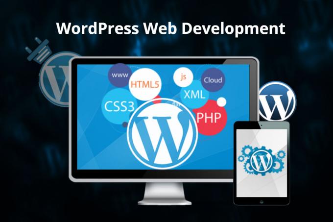 WordPress Development Company in India