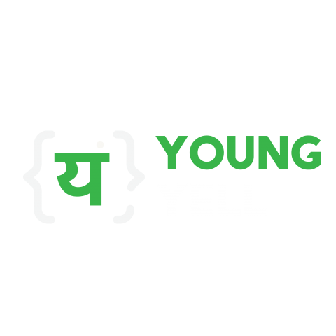 Grow your Business with the best SEO company in Chandigarh- Young Yell