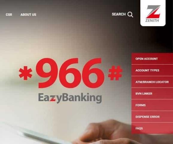 Zenith bank best sale account types