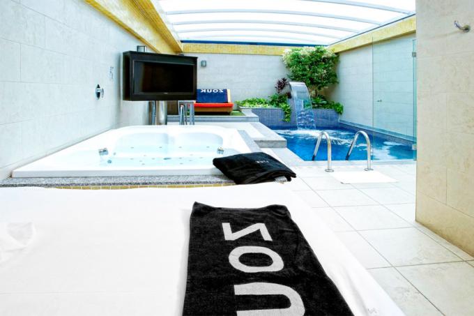 Hoteles con Piscina Privada en la Habitación en Madrid