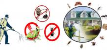 تخلص من حشرات منزلك بالرياض مع فريق مكافحة حشرات مضمونةبالرياض خصم30%اتصل بنا
