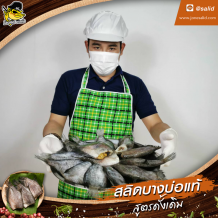 ปลาสลิดบางบ่อ ขายส่ง-ปลีก | ปลาสลิด ราคาถูก | สูตรต้นตำรับแท้ 100%