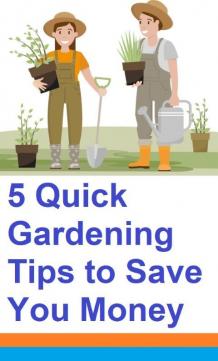 How to Save Money When Starting a Garden Around Your Home