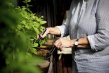 5 stappen naar een beter gazon en tuin