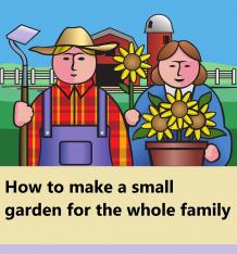 How to start creating a garden around the house that brings joy to the whole family