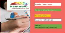 Workday Online Training