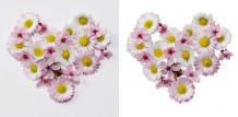 Product photo editing | Cut Out Image | Clipping Path Service | Image Masking Services