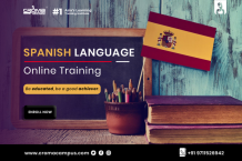 How To Learn Spanish Online?          