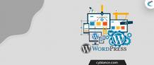 WordPress: The Best CMS for your Websites  - DEV