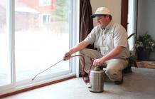 Why Hire A Pest Controls Service Provider In Eradicating Pest? &#8211; Pest Management Services