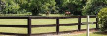 How to Choosing Your Horse Fence