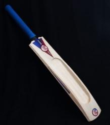 Best cricket equipment online shop in India