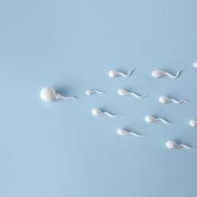 10 Ways to Boost Male Fertility and Increase Sperm Count
