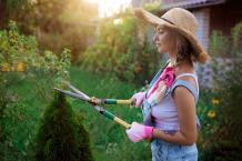 Reasons Why People Like Landscaping Services in Vaughan