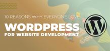 Reasons Why Everyone Love WordPress for Website Development 