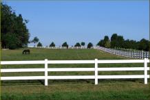 Making a Farm Horse Fence