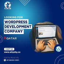 Looking for WordPress Development Company in Qatar