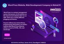 Word Press Website,Web Development Company in Mohali