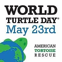 American Tortoise Rescue