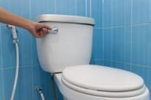 The ultimate guide of buying a Toilet