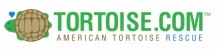 Desert Tortoises and Turtle Advice and Care - American Tortoise Rescue