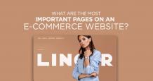 Find here the expert guide regarding the must have pages in an ecommerce website for better accessibility & user experience