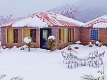 Resorts in Kanatal, Terraces Resorts in Kanatal