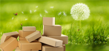 Articles - How Sustainable Packaging Helps in Increasing your Business? 